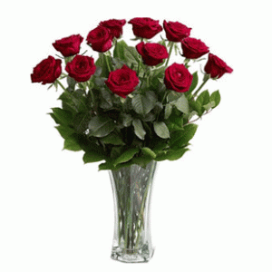 12 Red Rose in a Vase