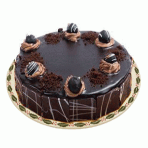 Chocolate Coated Cake