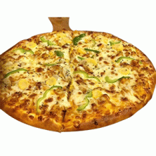 Special Chicken Pizza