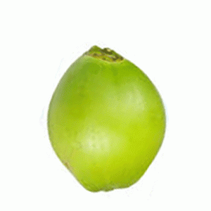 Green Coconut (Dab)