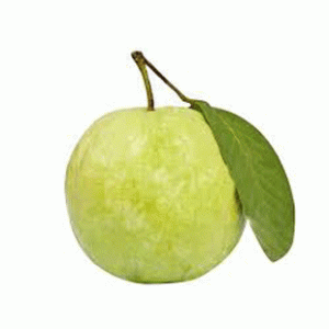 Guava (Thai Peyara) -1kg