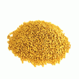Sorisha (Mustard Seed) 
