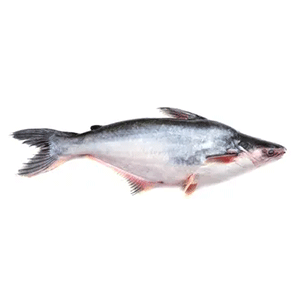 Pangas Fish (পাঙ্গাশ মাছ) 1.7-2 kg