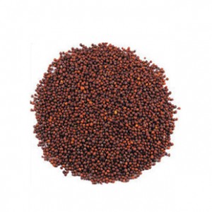 Mustard Seed Red