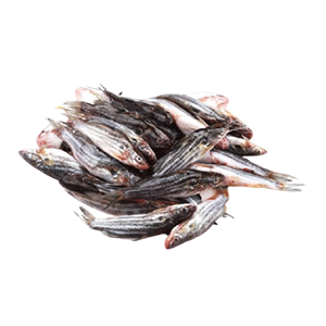 Tengra Fish (টেংড়া মাছ) 500gm