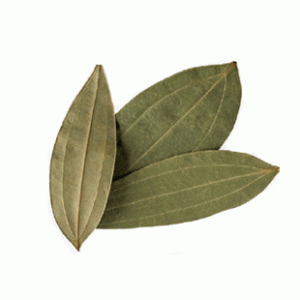 Tejpata ( Bay Leaves) 