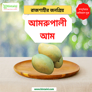 Aamropali Mango (Rajshahi) 5Kg