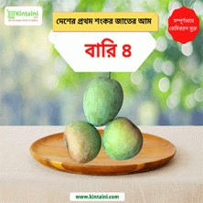 Mango Bari-4 (বারি ৪) 5Kg