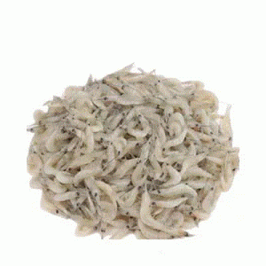 Gura Chingri (Shrimp) 1kg