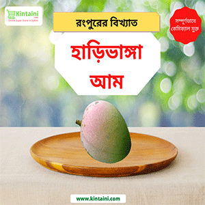 Harivanga Mango (Rongpur) 5Kg