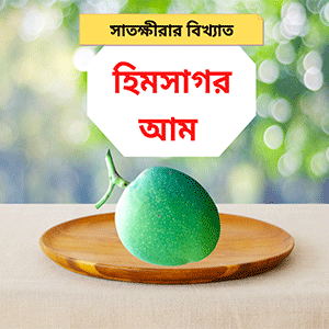 Himsagar Mango 10Kg Himsagar Mango 10Kg